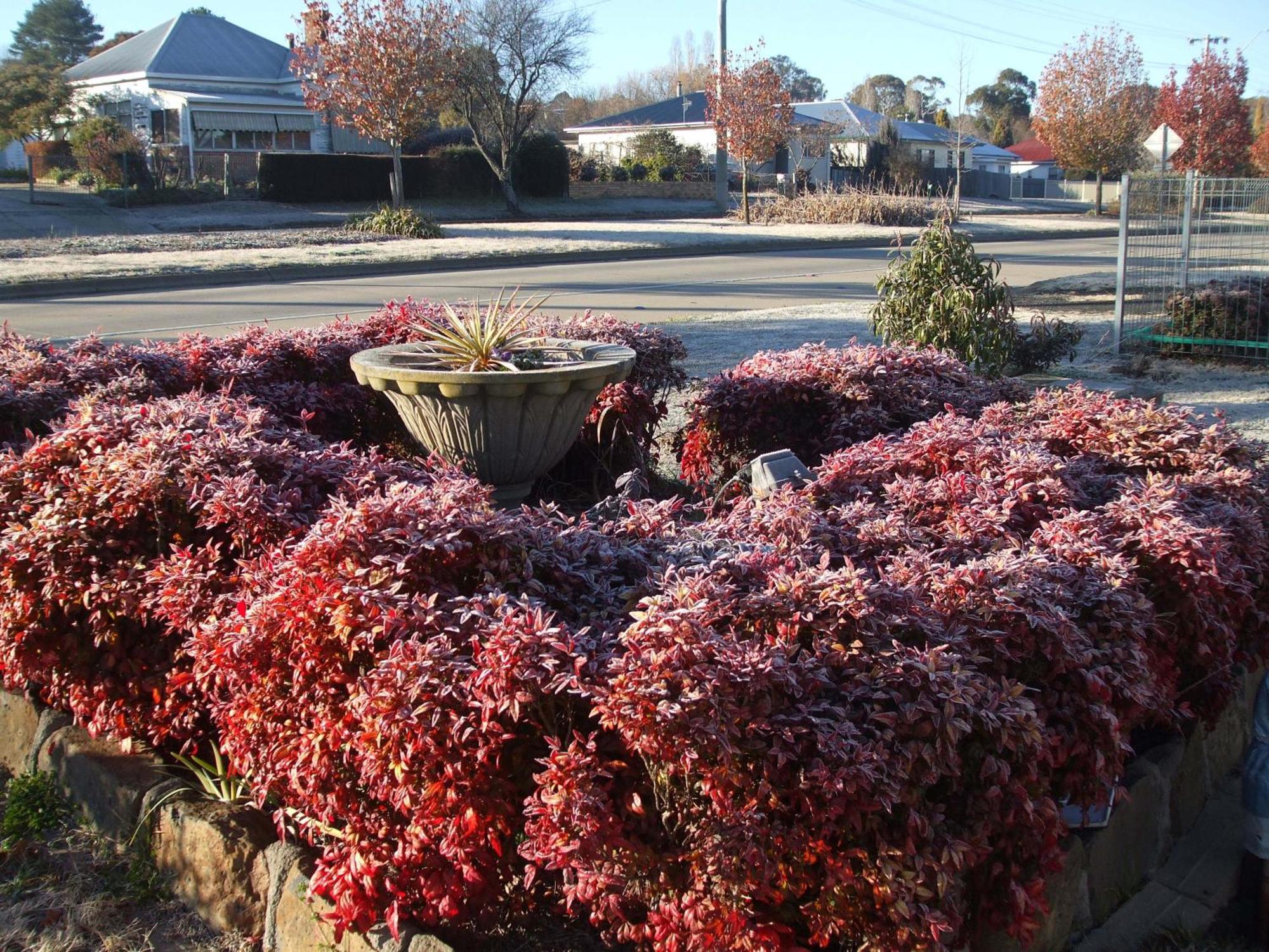 Anna Bella Motel Glen Innes Zimmer foto