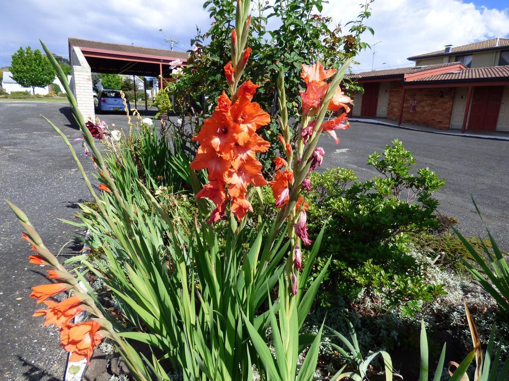 Anna Bella Motel Glen Innes Zimmer foto
